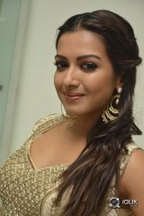Catherine Tresa At Goutham Nanda Movie Success Meet